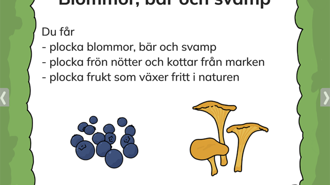 Allemansrätt 3