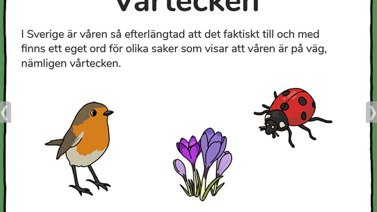 Vår_04