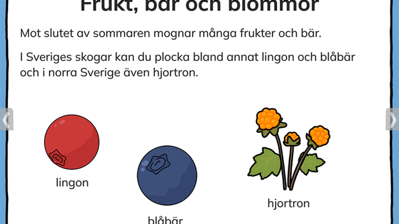 sommar_01