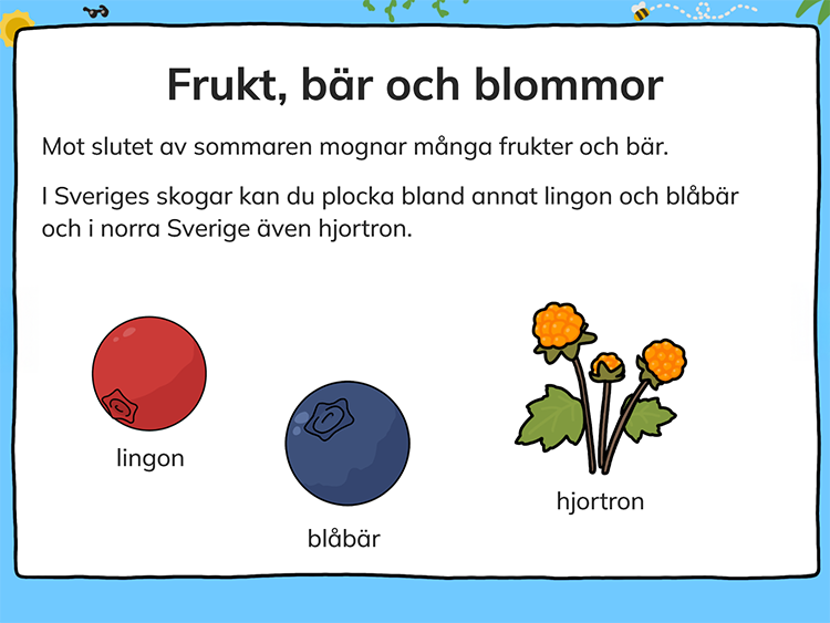 sommar6_2025